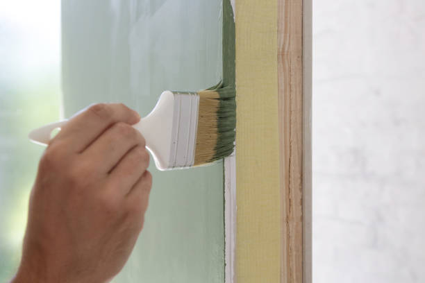 Best Black Mold Removal  in Gurnee, IL