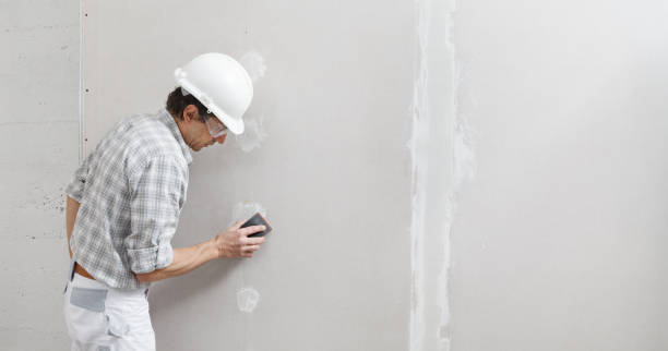Gurnee, IL Mold Removal Company