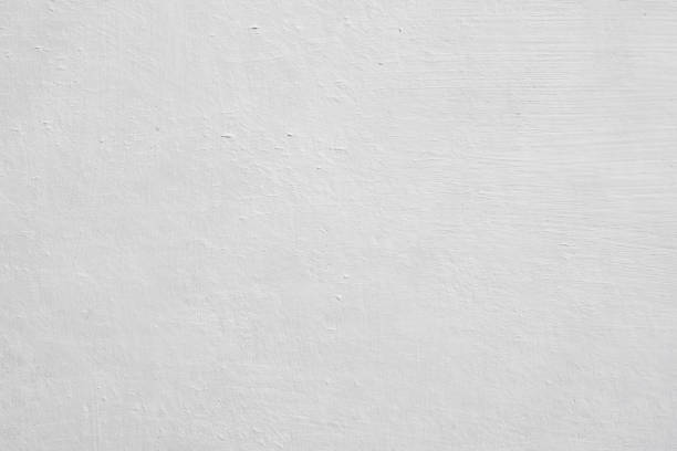 Best Mold Damage Restoration  in Gurnee, IL